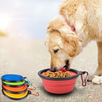 11.8 fl oz Collapsible Dog Pet Folding Silicone Bowl Outdoor Travel Portable Puppy Food