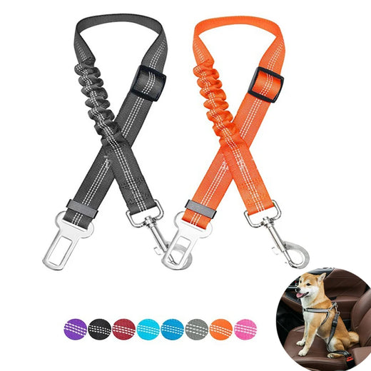 Pet Supplies