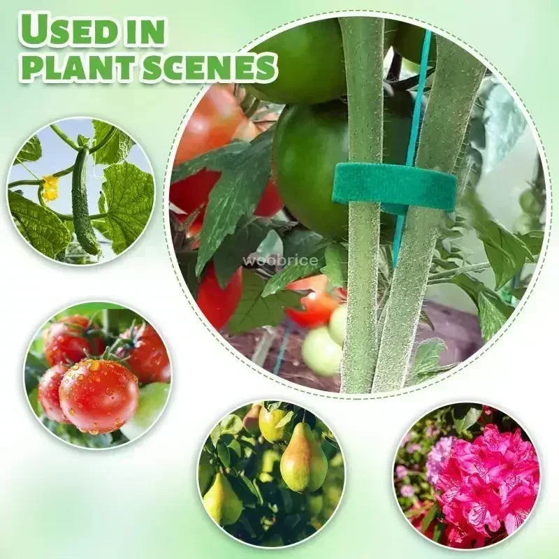 Self Adhesive Plant Nylon Cable Tie Green Adjustable Plants Hook Loop Support Garden