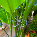 4-piece Set of Plant Stem Support Clips, Horticultural Turtle Back Bamboo Fixator