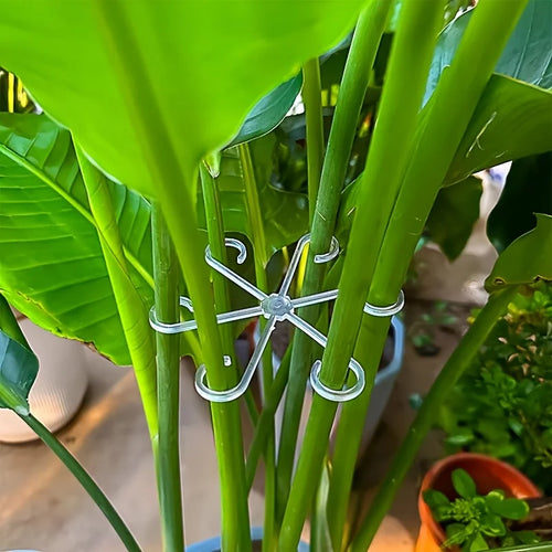 4-piece Set of Plant Stem Support Clips, Horticultural Turtle Back Bamboo Fixator
